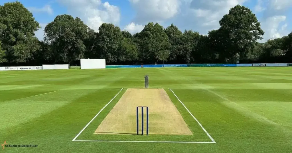 Cricket field with a green outfield and a rectangular pitch in the center