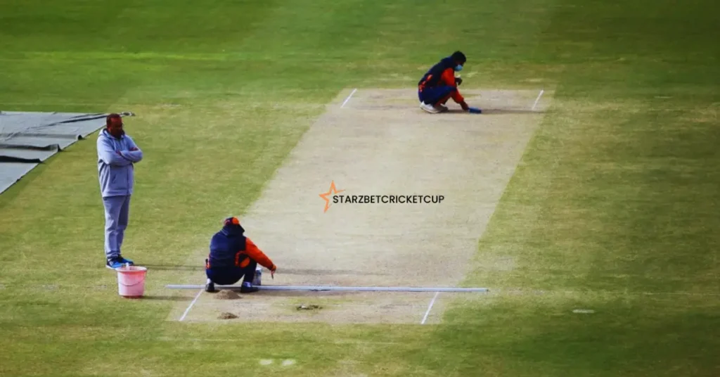 Understanding Suspended Meaning in Cricket due to pitch condition