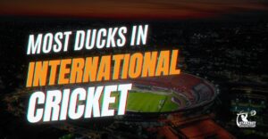 most ducks in international